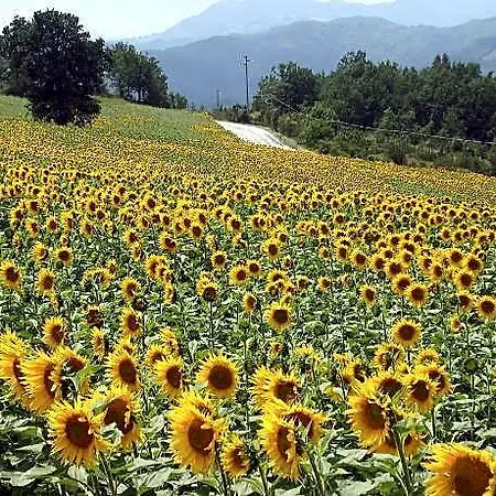 In Petrella Guidi With Garden Views Hotel
